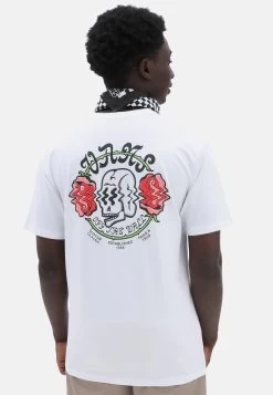 Vans Shaken Skull Ss Tee - T-Shirt Print - White